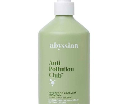 Abyssian Superfood Recovery Shampoo  500 ml For Discount